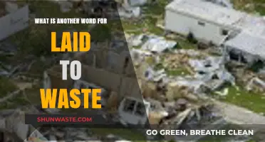 Devastation Synonyms: Exploring Alternatives to 'Laid to Waste' in Language