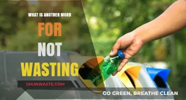 Maximizing Efficiency: Synonyms for Avoiding Waste in Daily Life