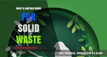 Exploring Synonyms: Alternative Terms for Solid Waste Explained