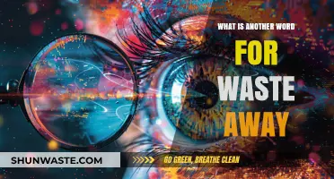Understanding Synonyms for 'Waste Away': Exploring Terms for Gradual Decline
