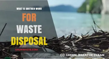 Efficient Waste Management: Exploring Synonyms for Disposal