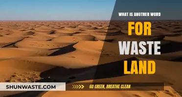 Exploring Synonyms for Waste Land: Desolate, Barren, or Abandoned Terrain
