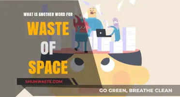 Clutter Culprit: Synonyms for 'Waste of Space' Explored and Explained