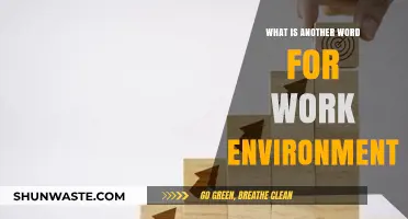 Exploring Synonyms: Alternative Terms for Your Work Environment Explained