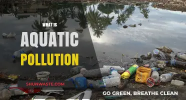 Aquatic Pollution: Understanding Waterway Contamination
