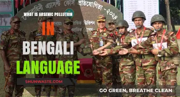 আর্সেনিক পরিস্থিতিক নিয়ন্ত্রণ: বাংলাদেশের সমস্যা