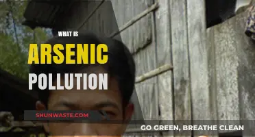 Arsenic Pollution: Understanding the Toxic Threat