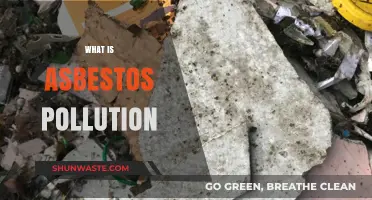 Asbestos Pollution: Understanding the Toxic Threat