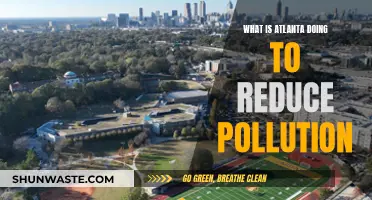 Atlanta's Anti-Pollution Initiatives: Strategies and Impact