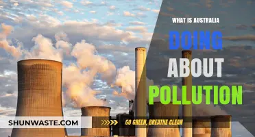 Australia's Pollution Control: Strategies and Future Plans