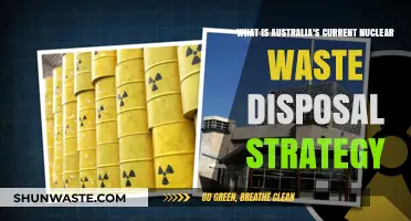 Australia's Nuclear Waste Disposal: Current Strategies and Future Prospects
