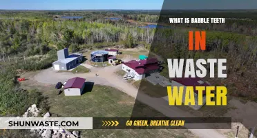 Understanding Babble Teeth: A Strange Discovery in Wastewater Systems