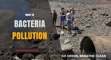 Bacteria Pollution: Understanding the Tiny Threats