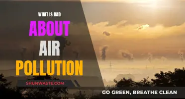 Air Pollution: The Lethal Crisis