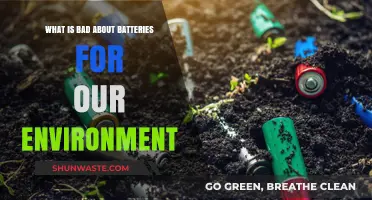 The Hidden Environmental Costs of Battery Production and Disposal