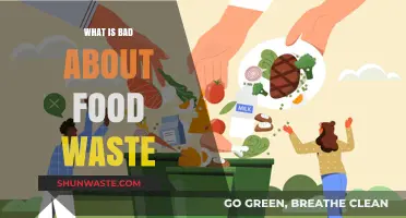 The Hidden Costs of Food Waste: Environmental and Social Impacts