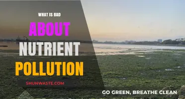Nutrient Pollution: A Toxic Threat to Nature