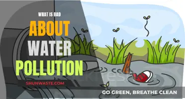 The Dark Side of Water Pollution: A Global Crisis