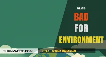 Harmful Habits and Practices Destroying Our Environment: What to Avoid