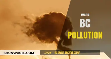 BC Pollution: Understanding the Toxic Threat