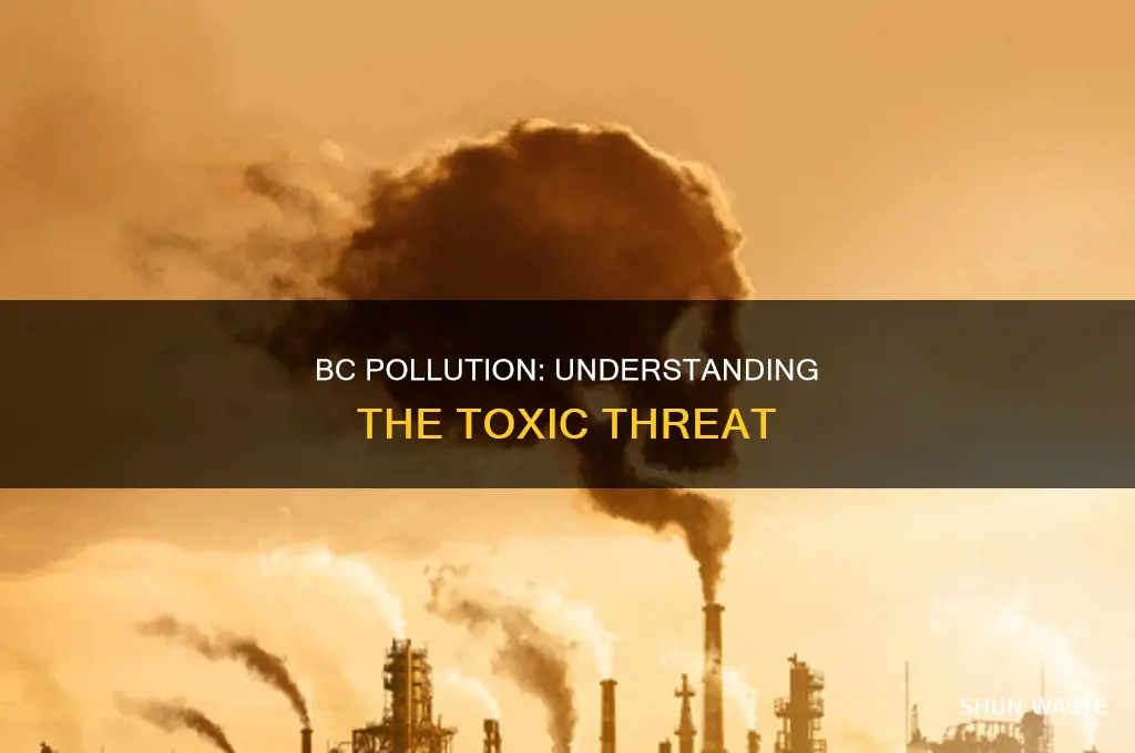 what is bc pollution