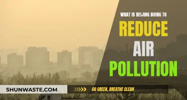 Beijing's Battle: Strategies to Reduce Air Pollution