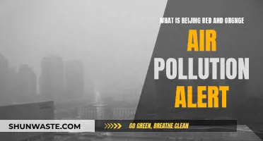 Beijing's Red Alert: Air Pollution Emergency