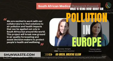 Europe's Fight for Clean Air