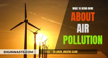 Air Pollution: Innovations and Solutions