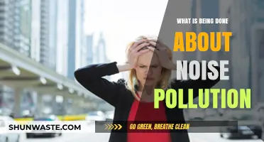 Addressing Noise Pollution: Current Initiatives and Future Plans