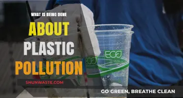 The Battle Against Plastic Pollution: Current Initiatives