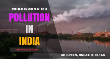 India's Rivers: Cleaning Up Act?