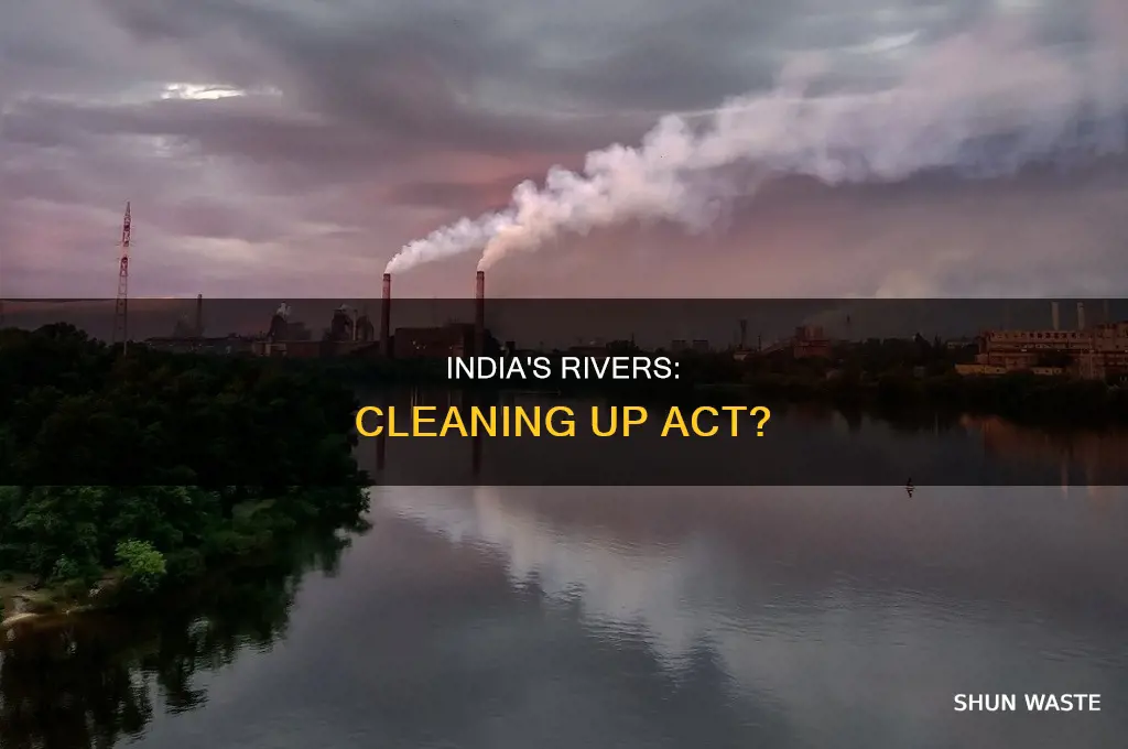 what is being done about river pollution in india