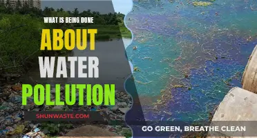 Battling Water Pollution: Global Efforts and Solutions