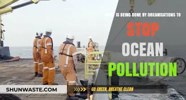 How Organisations Are Fighting Ocean Pollution