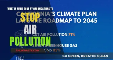 Initiatives to Combat Air Pollution: Organizational Efforts