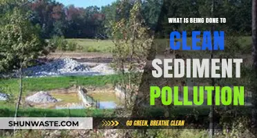 Sediment Pollution: Cleaning Our Waterways and Oceans