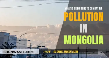 Mongolia's Battle Against Air Pollution