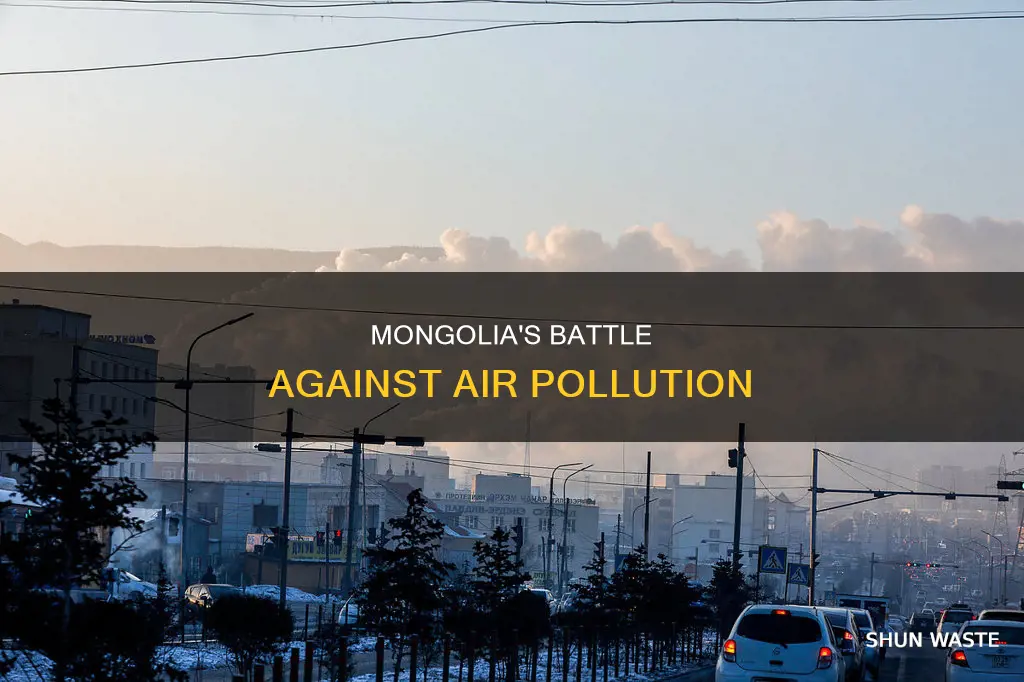 what is being done to combat air pollution in mongolia