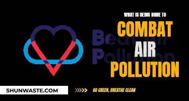 Fighting Air Pollution: Current Initiatives and Innovations
