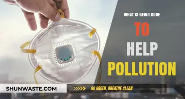 Innovations Fighting Pollution: Current Initiatives