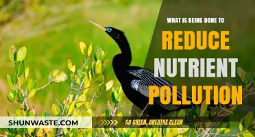 Steps Taken to Reduce Nutrient Pollution