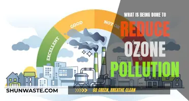 Ozone Pollution: Ongoing Efforts and Initiatives