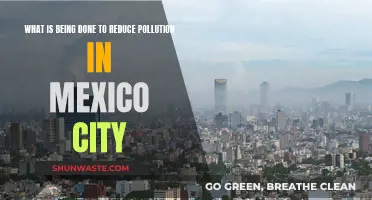 Mexico City's Fight Against Pollution: Strategies and Initiatives