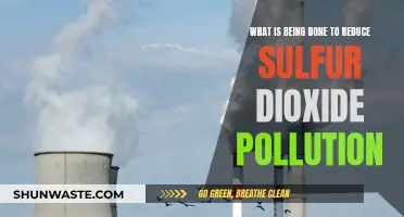 Sulfur Dioxide Pollution: Reducing Its Harmful Effects