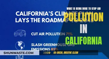 California's Battle Plan Against Air Pollution
