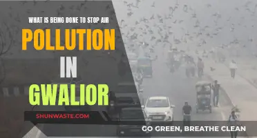 Gwalior's Battle: Strategies to Combat Air Pollution