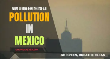 Mexico's Fight Against Air Pollution: Strategies and Initiatives