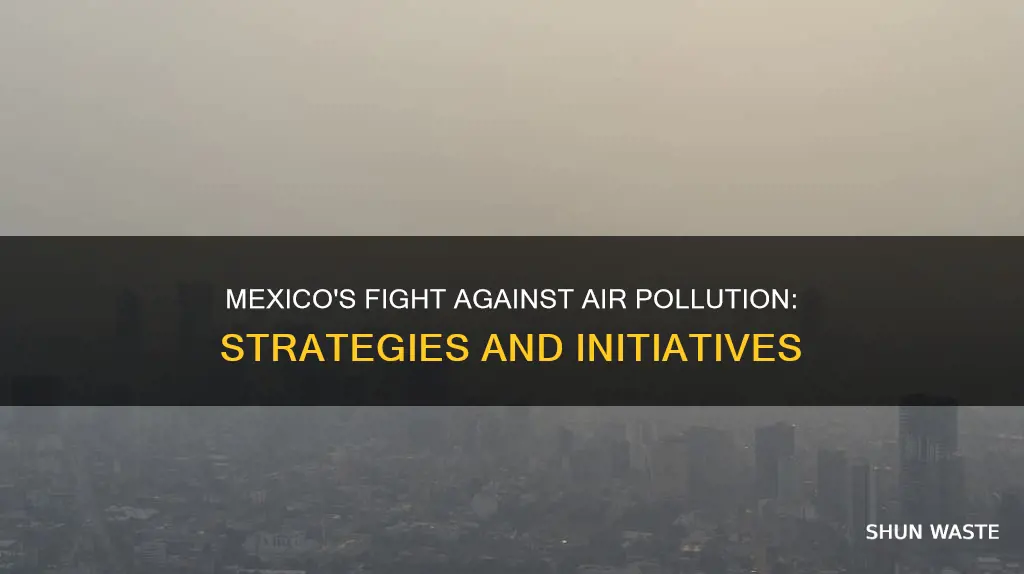 what is being done to stop air pollution in mexico