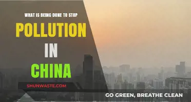 China's Anti-Pollution Efforts: What's Being Done?